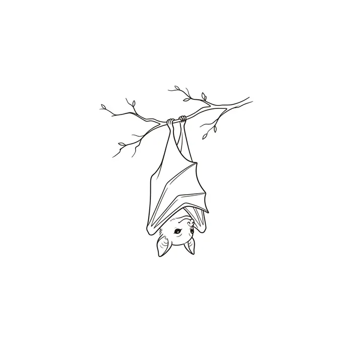 Hanging Bat, Tattoo Design