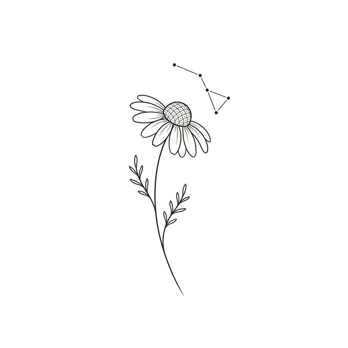 Chamomile, Tattoo Design