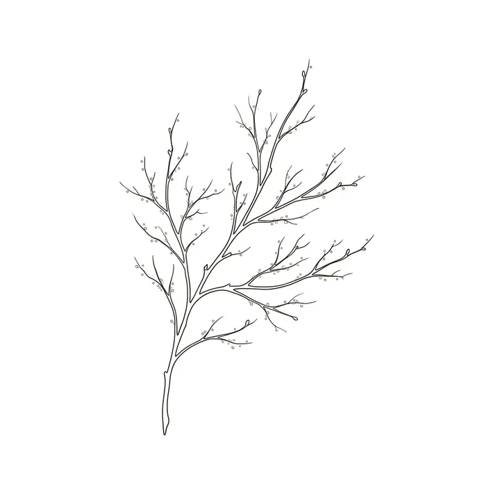 Frost Branch, Tattoo Design